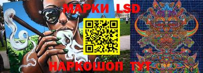 стафф Можга