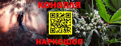 каннабис Моздок